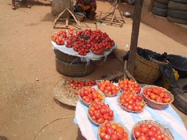 vente de tomate fraîche au marché d'abomey