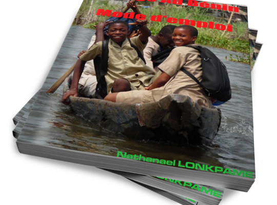 Présentation Du Guide Voyage Au Bénin Mode D’emploi