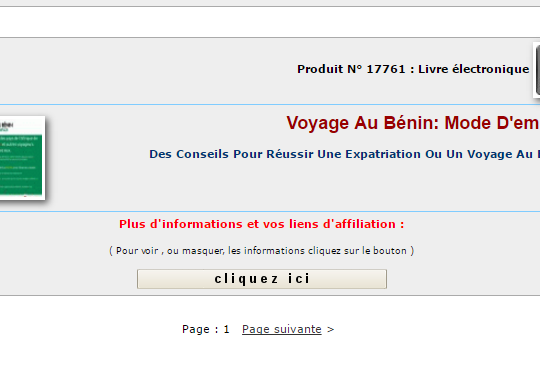 Comment gagner de l’argent avec le Blog Voyage Au Bénin